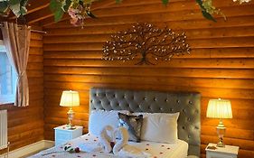 Kaoglen-Blossom-Hot Tub-Cairngorms-Pet Friendly